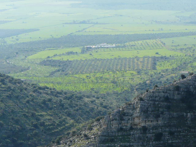 Monte Ividori con valle di Vituro...e vista sul Tavoliere